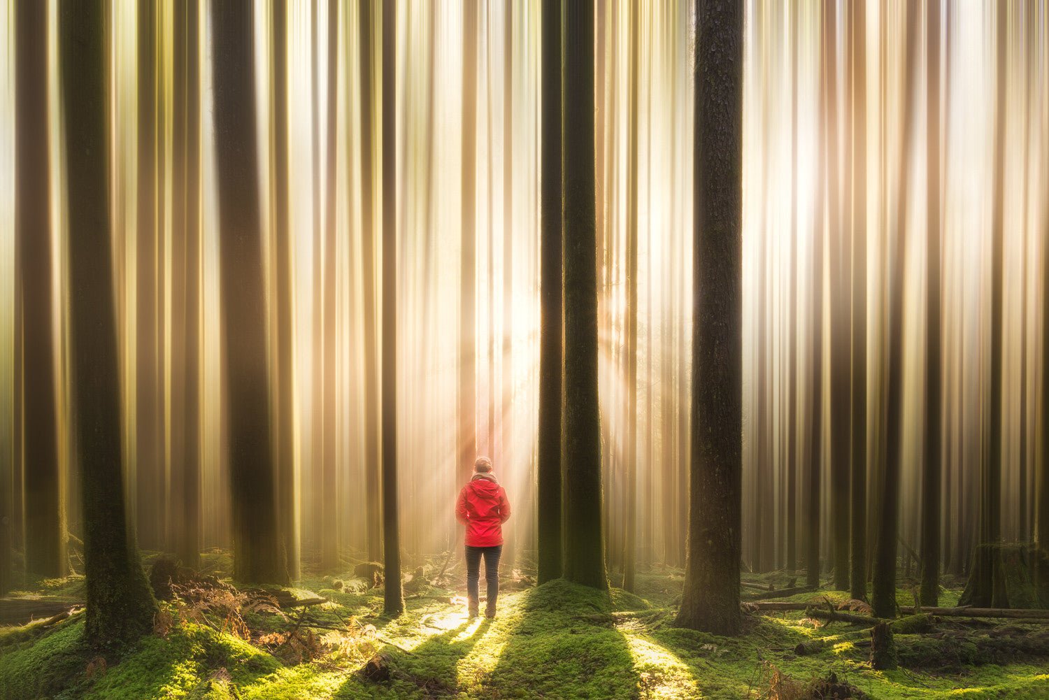 Cotton's Interview with a Photographer: Vanexus Photography - Cotton Camera Carrying Systems