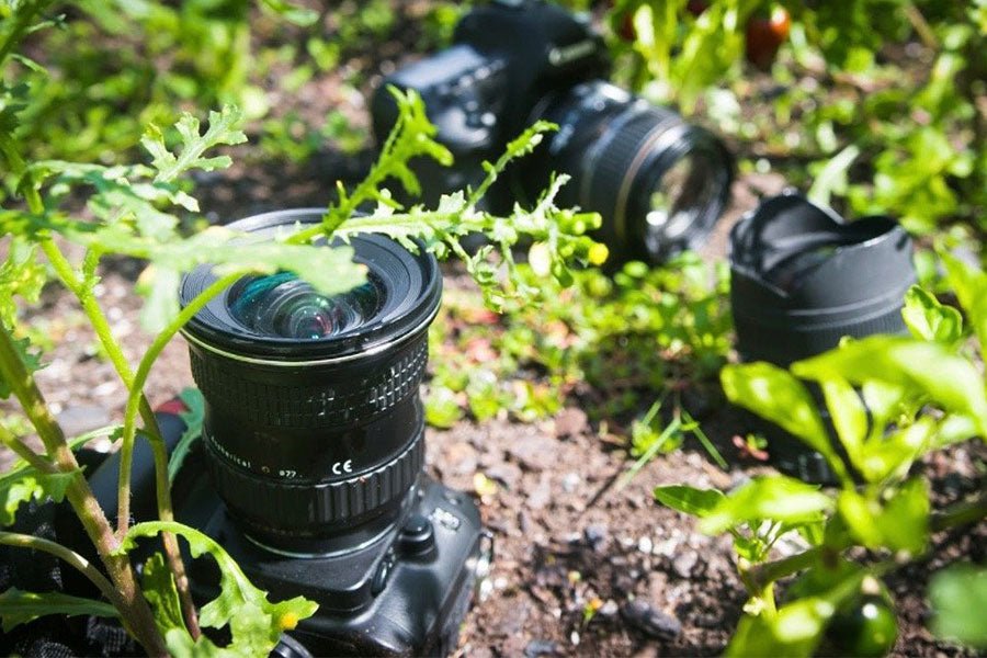 Cotton's Top Five Ways to GROW your Photo Skills - Cotton Camera Carrying Systems