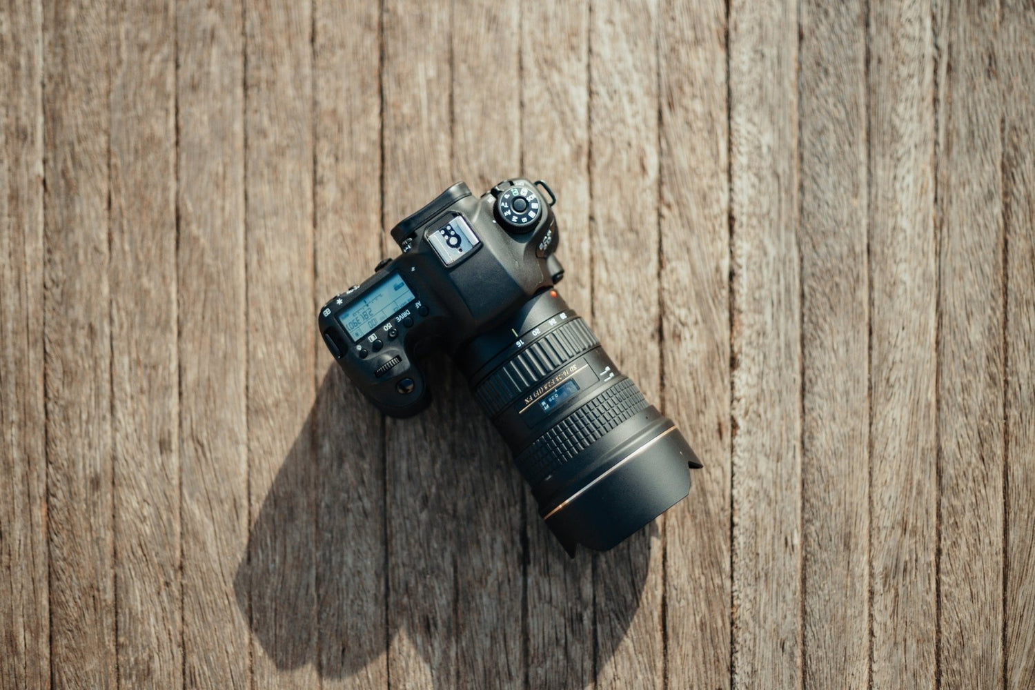 How to Protect Your Photography Gear in Summer - Cotton Camera Carrying Systems