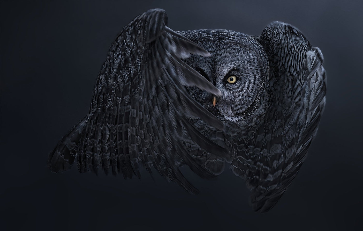 Interview with a photographer featuring Jacquie Matechuk - Cotton Camera Carrying Systems