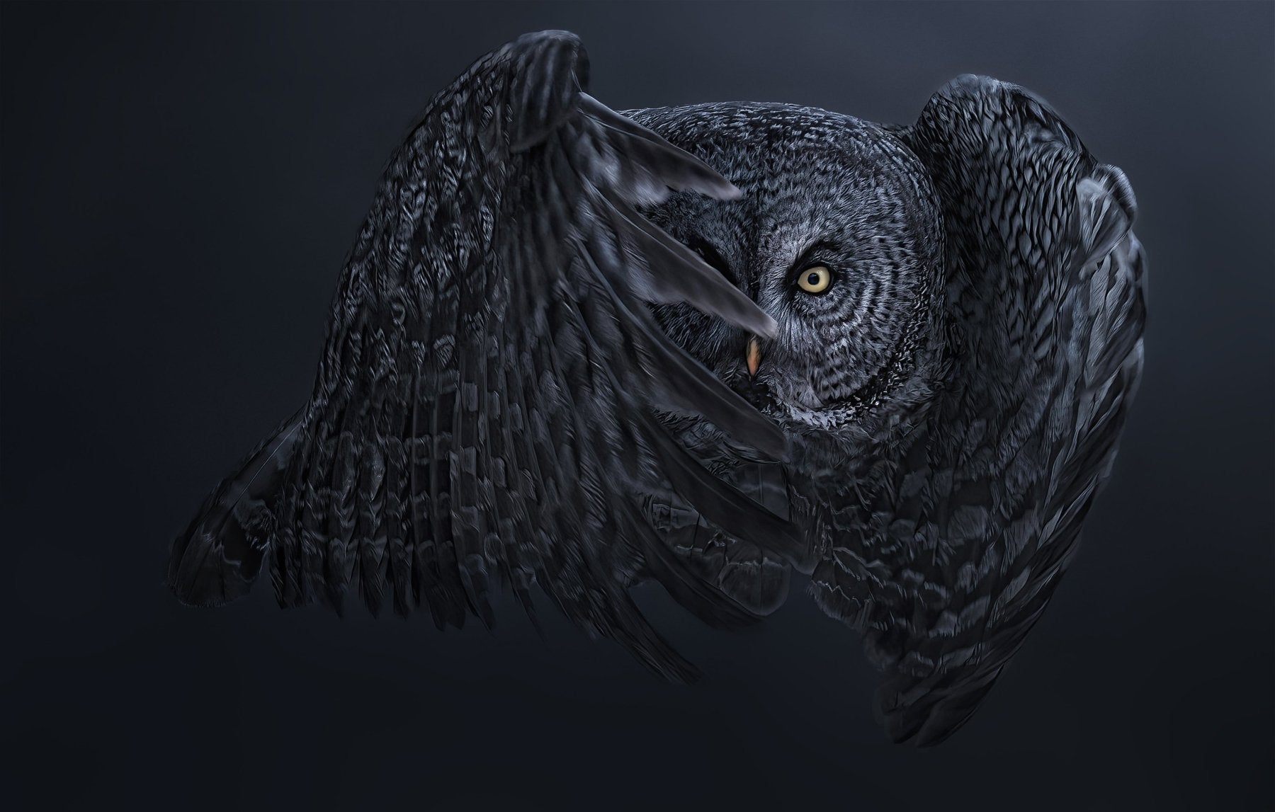Interview with a photographer featuring Jacquie Matechuk - Cotton Camera Carrying Systems