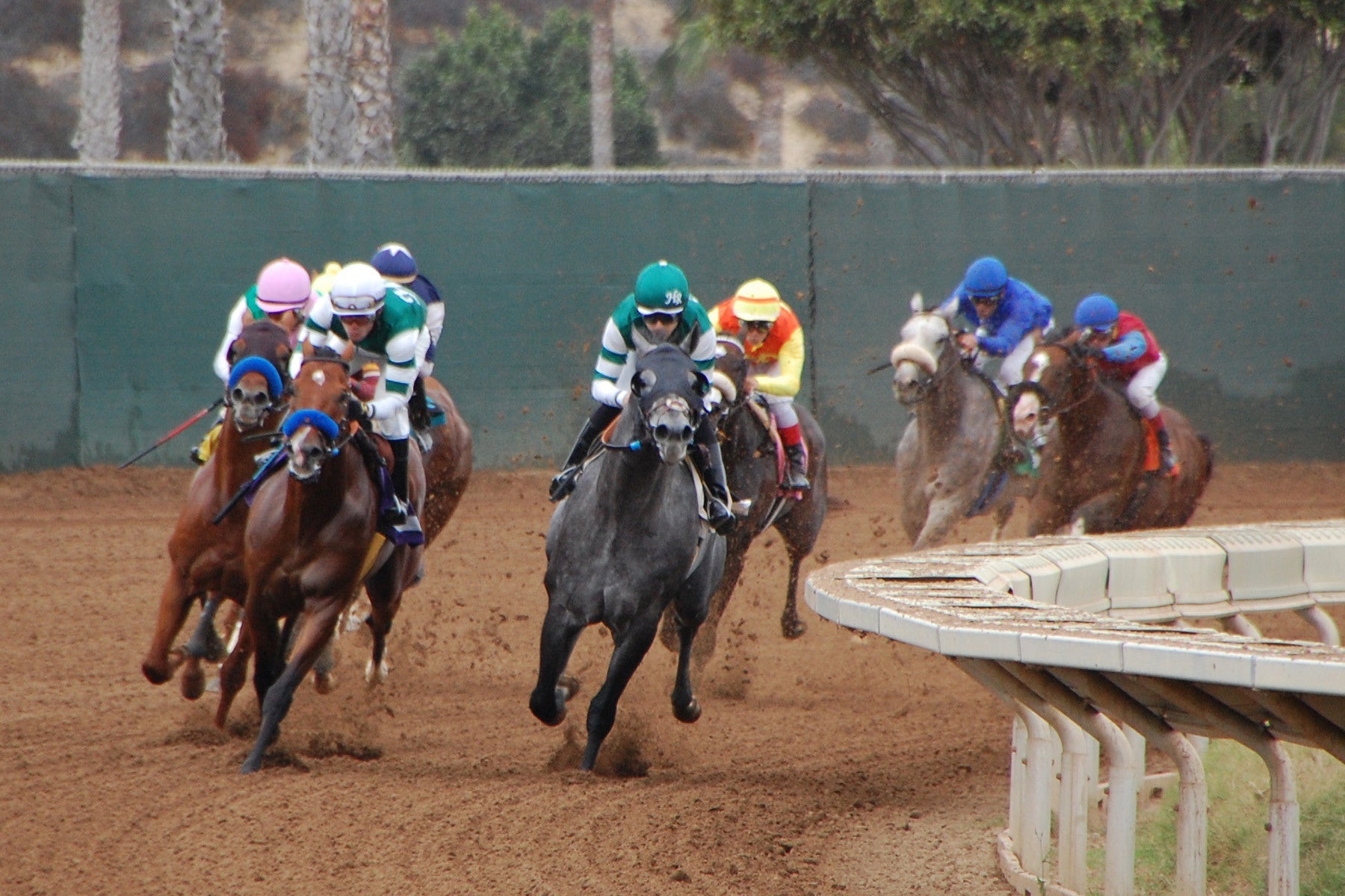 Tales from the Field: A Day at the Races - Cotton Camera Carrying Systems